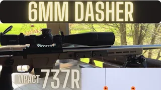 6MM Dasher First Shots