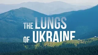WWF Ukraine – Lungs of Ukraine