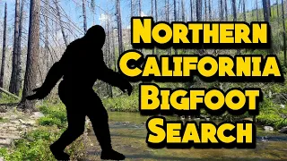 Searching for Bigfoot in El Dorado County | Northern California | Stumpy Meadows Reservoir