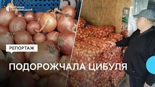 Цибуля на Кіровоградщині подорожчала вдвічі: причини та прогнози ціни