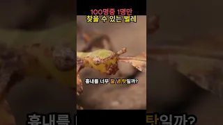 숨어있는 벌레를 찾아보세요