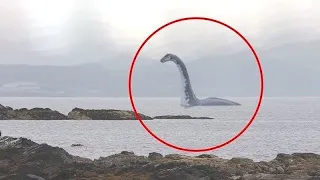 Top 5 Sea Serpent Caught On Camera