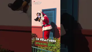 Santa Goofy Sighting - Disney’s Hollywood Studios 12-28-22 #goofy