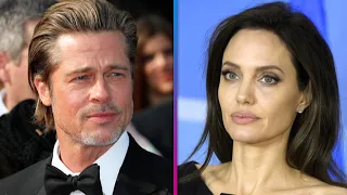 Brad Pitt Alleges Angelina Jolie Sold Her French Vineyard Share to Harm Him