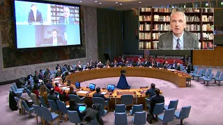 Timothy Snyder: Testimony to the United Nations Security Council