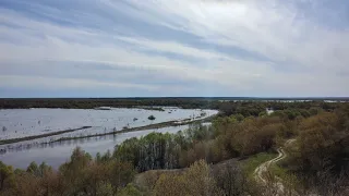 Шостка -Десна , розлив 2023.🌊🇺🇦