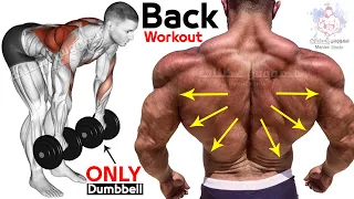 🔴 Exercise Back Workouts (Dumbbells Row Only)