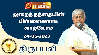 🔴 LIVE 24 MAY 2023 Holy Mass in Tamil 06:00 PM (Evening Mass) | Madha TV