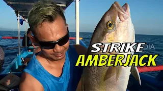 Berburu Amberjack di Teluk Biru Banyuwangi | MANCING MANIA STRIKE BACK (10/06/23) Part 1