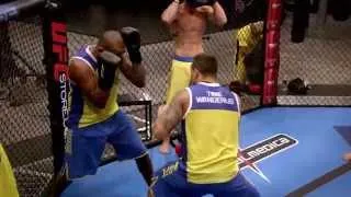 The Ultimate Fighter Brazil 3: Aftermath