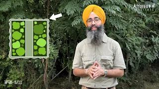 Ch:5 | Forest Design Guidelines| Forest Creation Tutorials | Punjabi