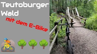 Mit dem Fischer Montis 6.0i Fully im Teutoburger Wald unterwegs 💥 Donoperteich und Stausee #ebike