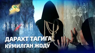 Дарахт тагига кўмилган жоду... Alhazar