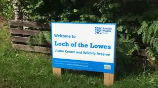 Loch of the Lowes Nature Reserve
