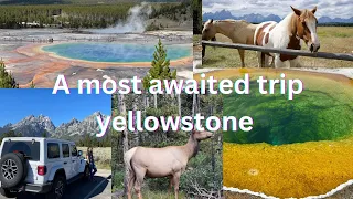 A beautiful trip to Yellowstone national park| another world 🌎#yellowstone #animals