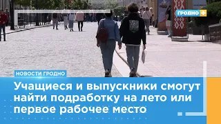 В Гродно впервые пройдёт «Молодёжная ярмарка вакансий»