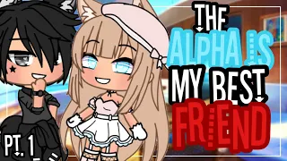 ✨•The alpha is my best friend•✨| Glmm | Gacha Life mini movie | love story | part 1|