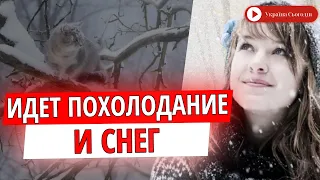 Синоптики назвали дату первого снега в ноябре: какой будет погода в середине месяца