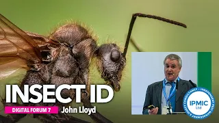 Insect Identification  | BPCA Digital Forum 7 (Feb 2021)