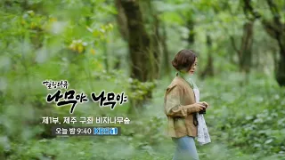[예고] 힐링다큐 #나무야나무야 - 제 1부 #이선희 편 ㅣ KBS방송