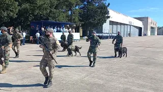 Desfile 73° aniversario V Brigada Aérea.