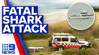 Man dies after shark attack on NSW North Coast | 9 News Australia