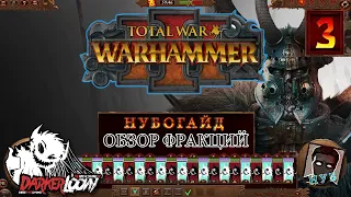 Нубогайд: Total War WARHAMMER III тзинч, вилитч, механики, старт, с чего начать, новичку, экономика.