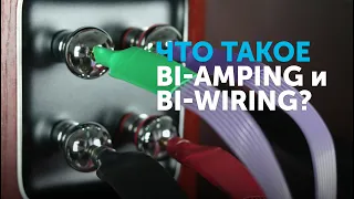 Bi-Amping & Bi-Wiring — как подключить колонки?