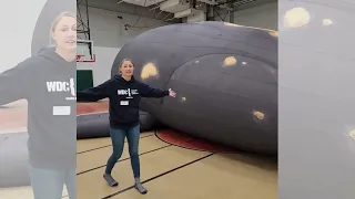 Delilah, our inflatable life-sized North Atlantic right whale