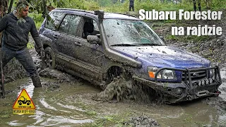 Subaru Forester na rajdzie 4x4.