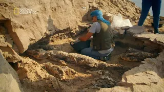 Archeolodzy odkryli niesamowite mumie krokodyli! [Egipt: miejsce pełne tajemnic]