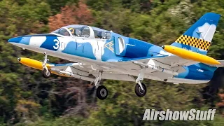 L-39 Albatros Low Flybys - No Music! - Northern Illinois Airshow 2021
