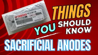 Yamaha Anode Replacement - Things you should know!
