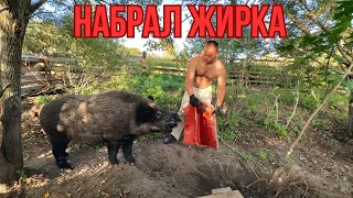 553 ДНЯ НА ЗАБРОШЕННОМ ХУТОРЕ. ГОТОВИМСЯ К ЗИМЕ