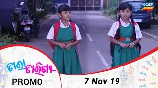 Tara Tarini | 7 Nov 19 | Promo | Odia Serial – TarangTV