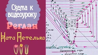 Схема к видеоуроку "Учимся вязать реглан сверху спицами".