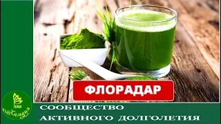 «ACLON» Продукт ФЛОРАДАР/ Меньшикова О. (15.09.17)