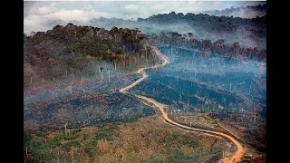 Amazônia Real and Amazon Watch Flyover of Munduruku Indigenous Territory, Brazil