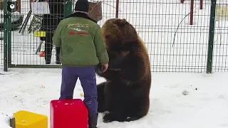 Прекрасное настроение🤩разве может быть иначе?🐻