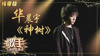 【纯享版】华晨宇《神树》极致震撼 呼吁大家保护自然 《歌手·当打之年》Singer 2020【湖南卫视官方HD】