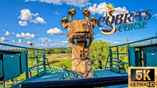 Cobra’s Curse POV 5.3K 60fps Mack Rides Family Coaster Busch Gardens Tampa, Florida