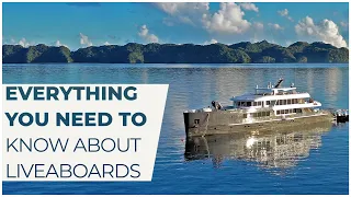 Everything You Need to Know About Liveaboard Diving @ExplorerVentures