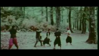 Excerpt from "Pugni, Pirati e Karaté" (Joe D'Amato 1973) - Karate fighting Italian style