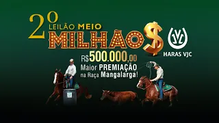 2° LEILÃO MEIO MILHÃO HARAS VJC