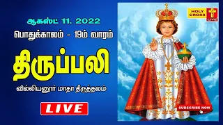 11 August 2022 Tamil Mass | Villianur Lourdes Shrine | Holy Cross Tv | Daily Tv Mass | Today Tv Mass