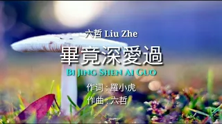 畢竟深愛過 Bi Jing Shen Ai Guo »» Liu Zhe 六哲