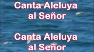 CANTA ALELUYA AL SEÑOR   MARANATHA