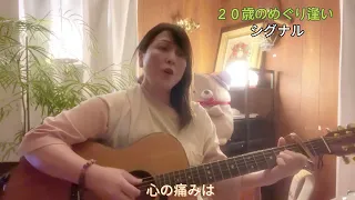 ２０歳のめぐり逢い/シグナル(cover