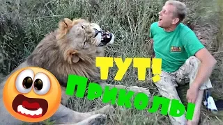 😂 ЛУЧШИЕ ПРИКОЛЫ | СМЕШНЫЕ ВИДОСИКИ 2019