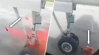 Deer 🦌 Turned To PULP By Landing Gear